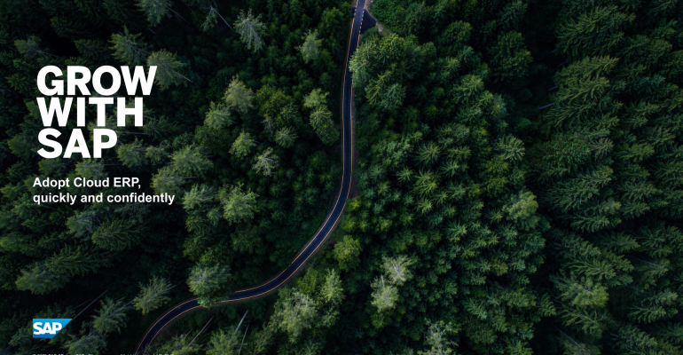 How to Simplify Operations with SAP: Tips from Snapnet, SAP Implementation Partner in Nigeria
